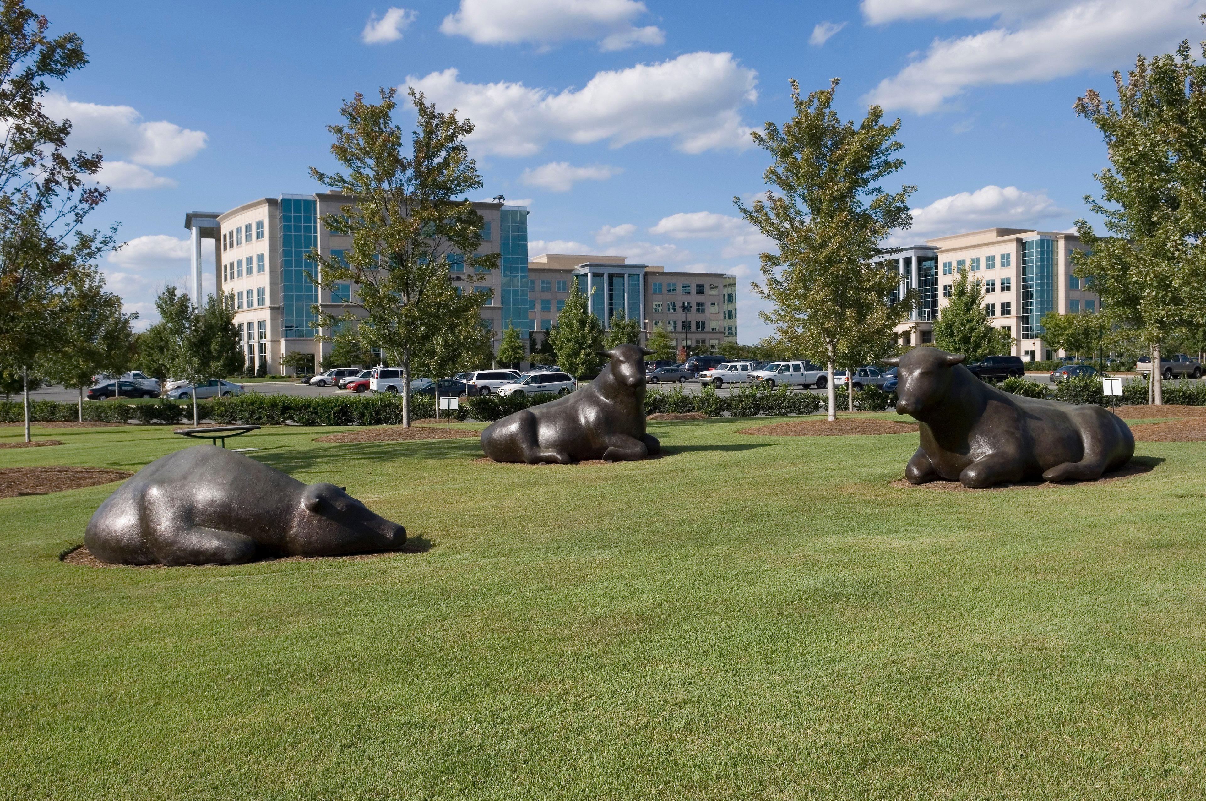 Staybridge Suites - Charlotte Ballantyne By Ihg Exteriér fotografie
